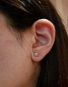 0.60 Ct Diamond 3 Prong Martini Earrings, 14K Gold Lab Grown Diamond Earrings, Diamond Studs