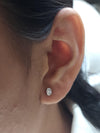14K 0.50 Ct Diamond Earrings, 14K Gold Lab Grown Diamond Oval Earrings, VS Diamond Studs
